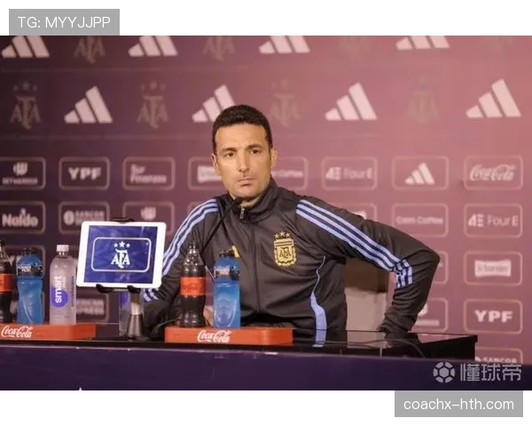 斯卡洛尼空间利用 斯卡洛尼空间利用