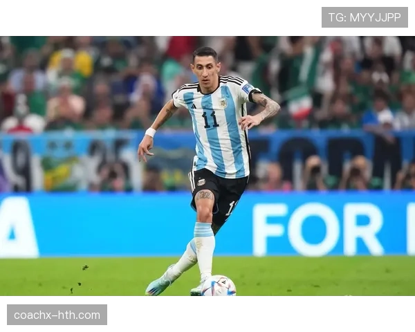 安赫尔·迪马利亚：2014世界杯决赛伤缺成为关键遗憾